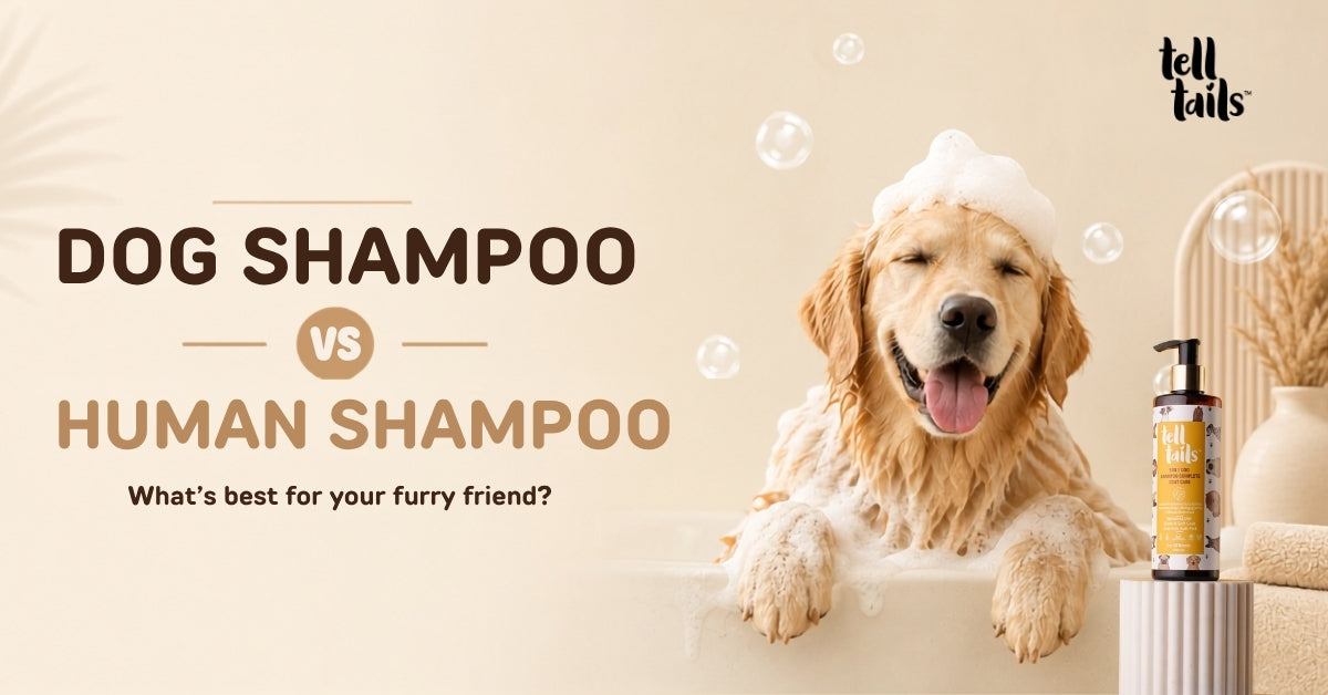 Dog Shampoo vs Human Shampoo: Can You Use Human Shampoo on Dogs?