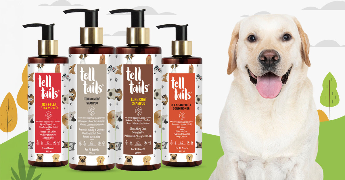 Long-Term Benefits of Using Herbal Extracts Shampoo for Dogs