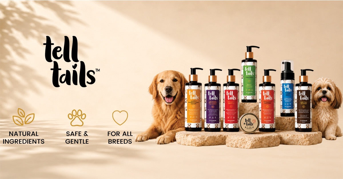 Why Does My Dog Itch So Much? Common Causes & Simple Solutions Every Pet Parent Should Know
