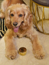 TELLTAILS Dog Paw Balm Combo | Heals & Hydrates Cracked Dog Paws | Pack of 2