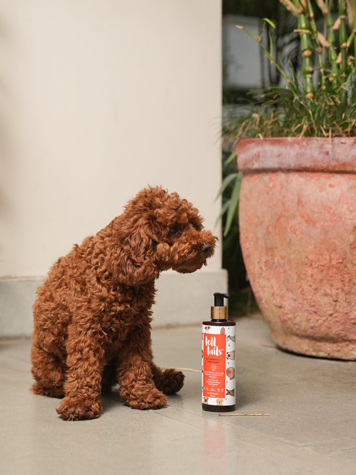 DOG SHAMPOO + CONDITIONER