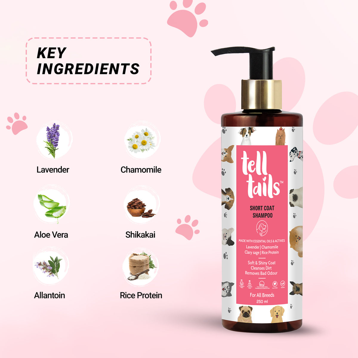 Daily Essentials Pack For Dogs